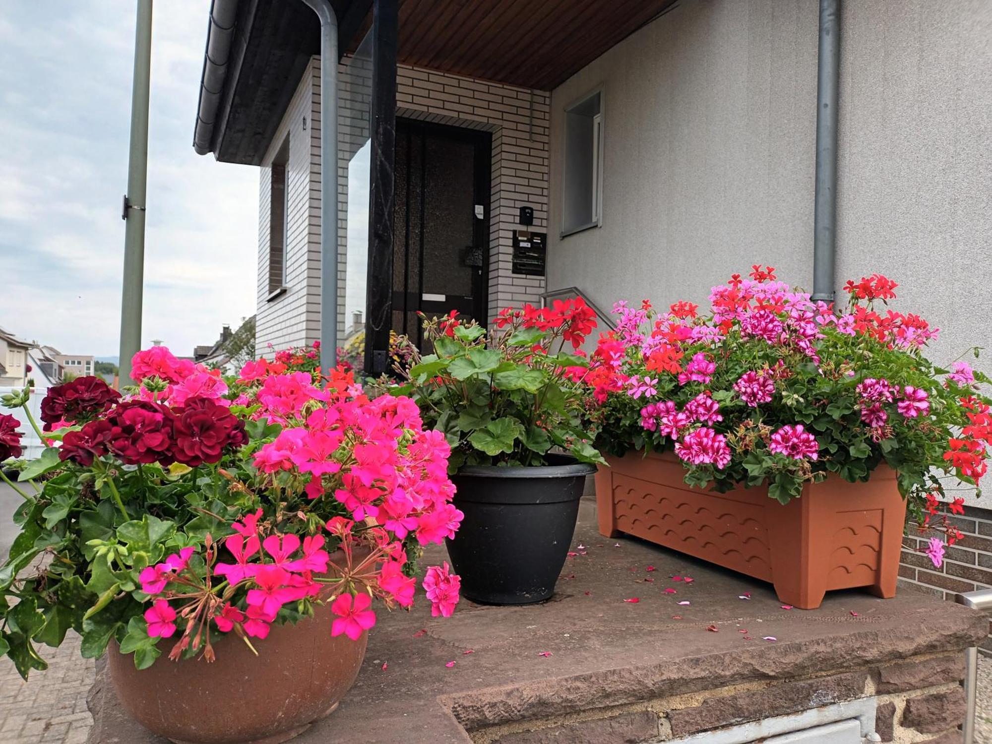 Ferienwohnung Kassel Ngoại thất bức ảnh